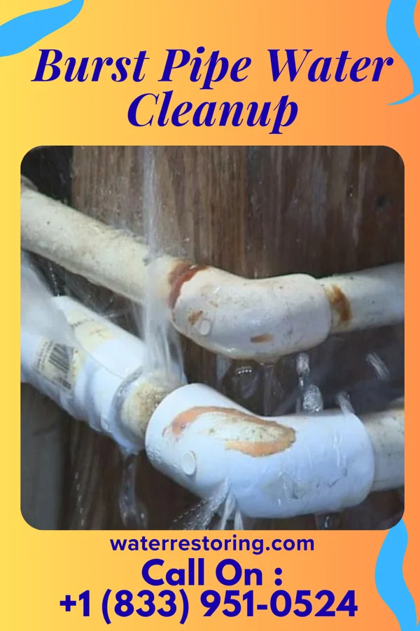 Burst Pipe Water Cleanup in Fox Park, WY