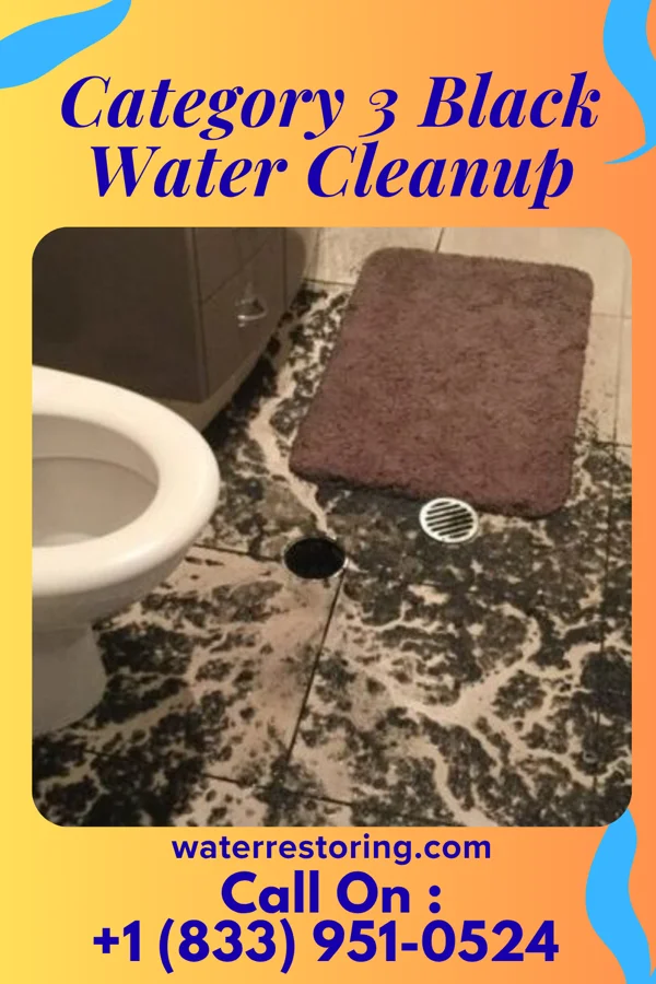 Category 3 Black Water Cleanup in Fox Park, WY
