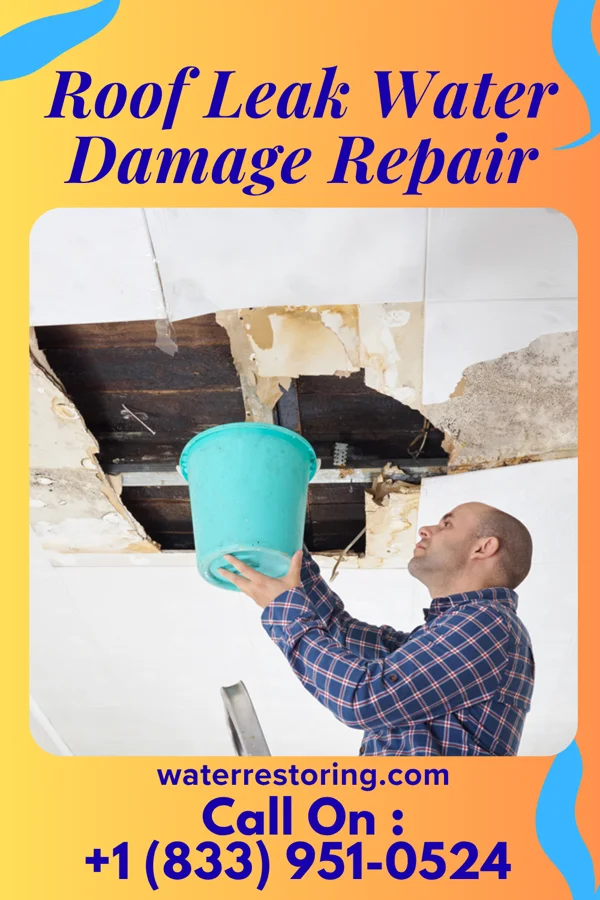 Roof Leak Water Damage Repair in Fox Park, WY